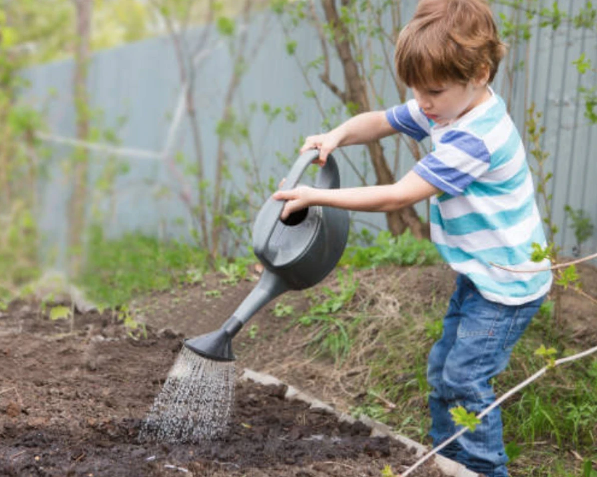 Young boy watering a garden